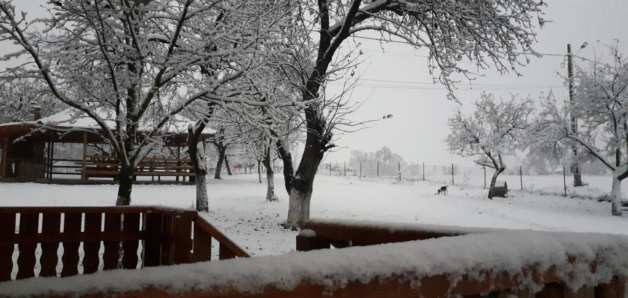 Pensiunea Agroturistica Ica Valea Drăganului Buitenkant foto