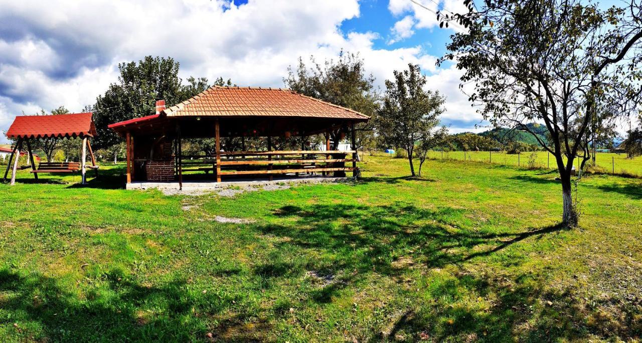 Pensiunea Agroturistica Ica Valea Drăganului Buitenkant foto