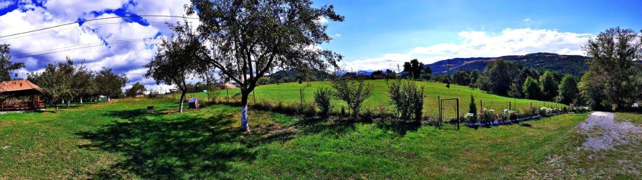 Pensiunea Agroturistica Ica Valea Drăganului Buitenkant foto