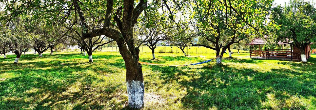 Pensiunea Agroturistica Ica Valea Drăganului Buitenkant foto