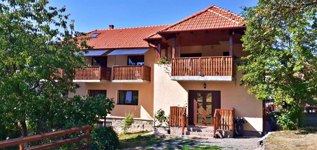 Pensiunea Agroturistica Ica Valea Drăganului Buitenkant foto