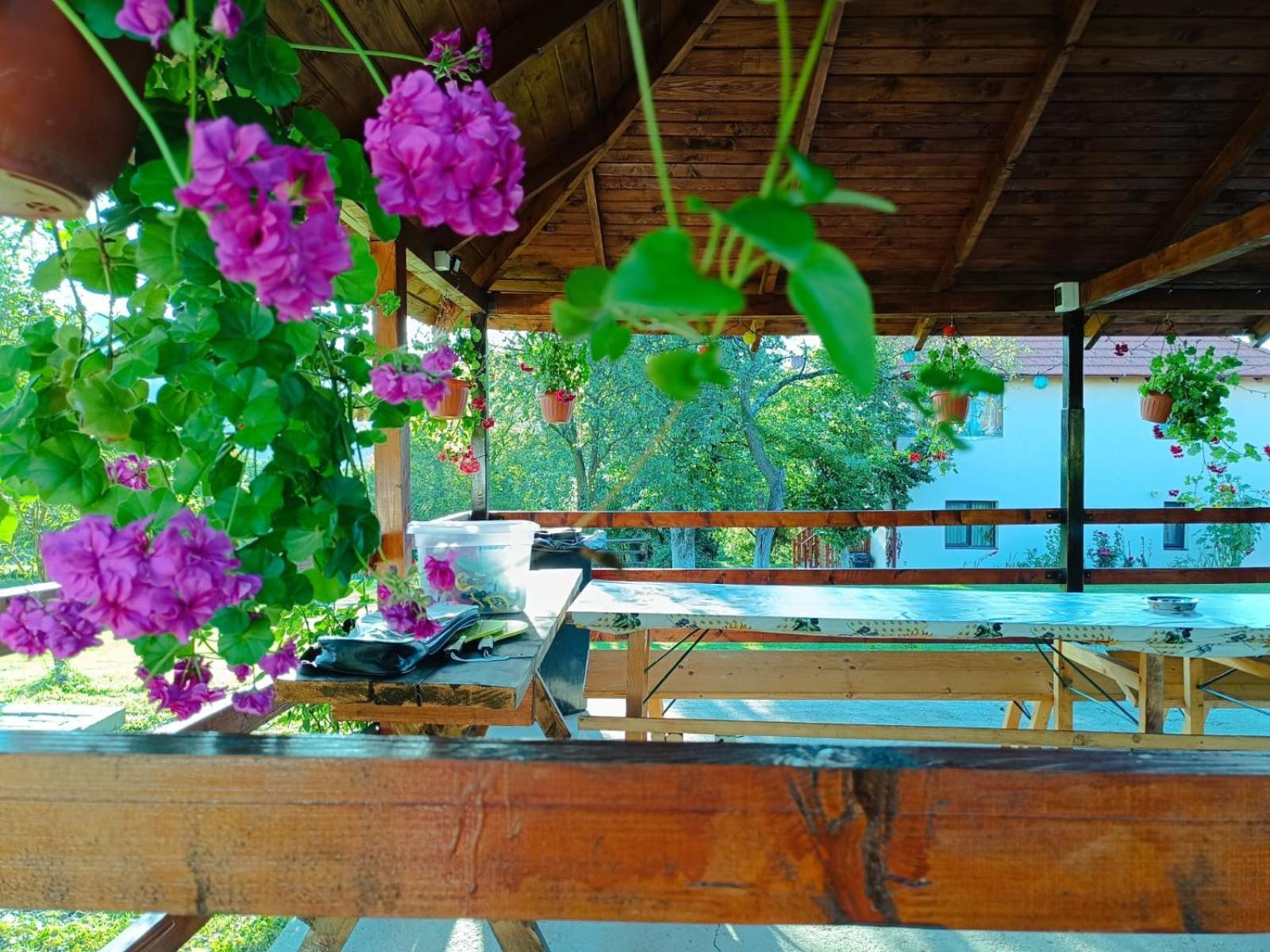 Pensiunea Agroturistica Ica Valea Drăganului Buitenkant foto