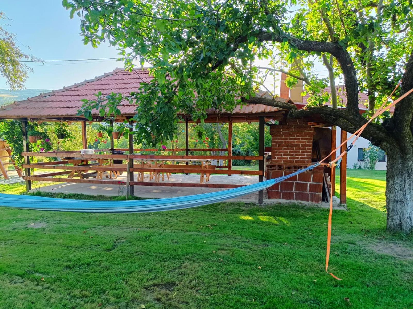 Pensiunea Agroturistica Ica Valea Drăganului Buitenkant foto