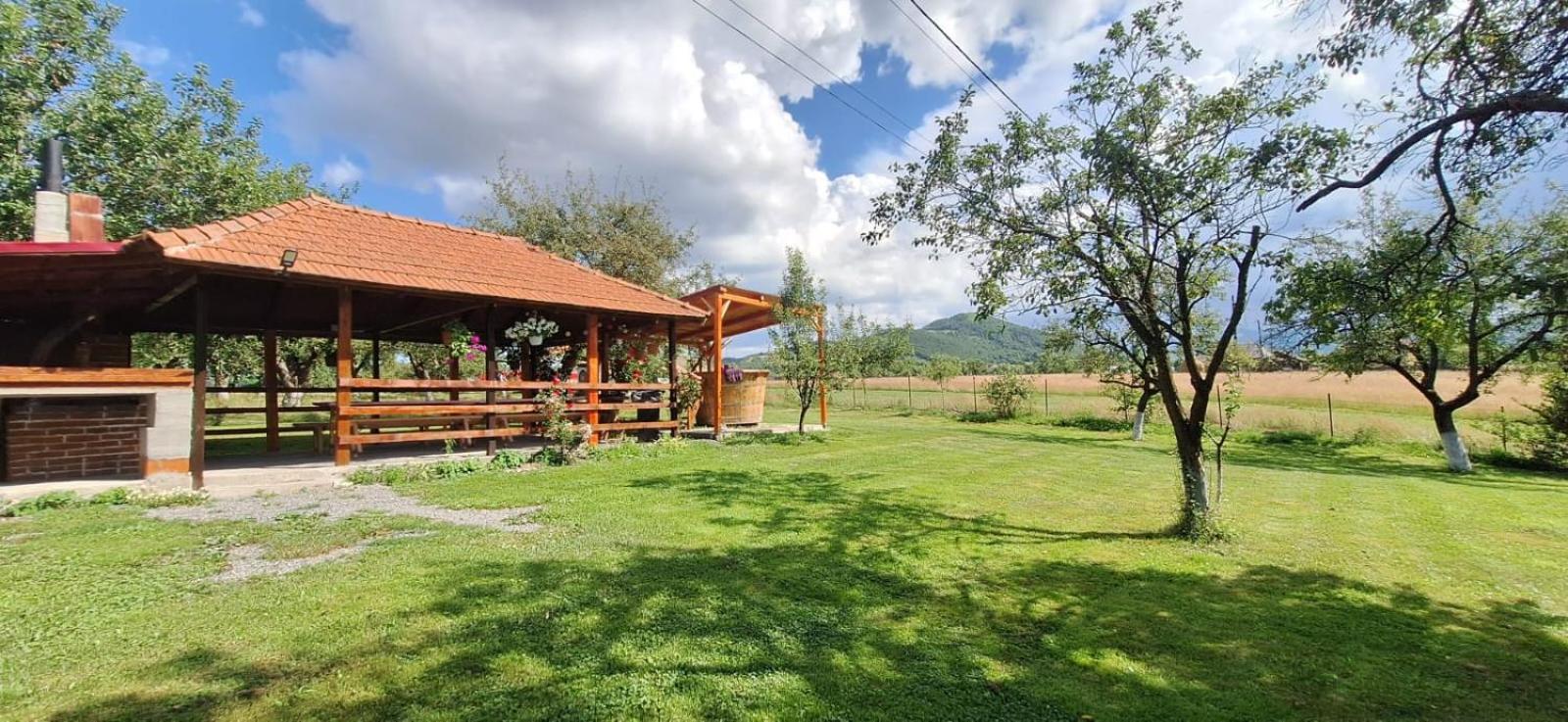 Pensiunea Agroturistica Ica Valea Drăganului Buitenkant foto