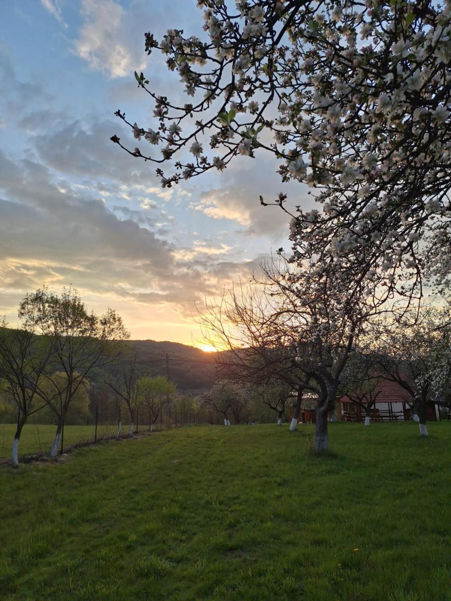 Pensiunea Agroturistica Ica Valea Drăganului Buitenkant foto