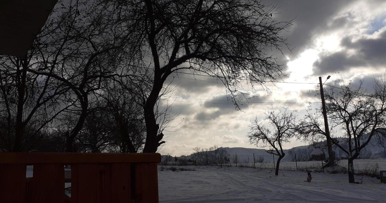 Pensiunea Agroturistica Ica Valea Drăganului Buitenkant foto